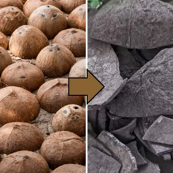 Coconut shells to charcoal conversion