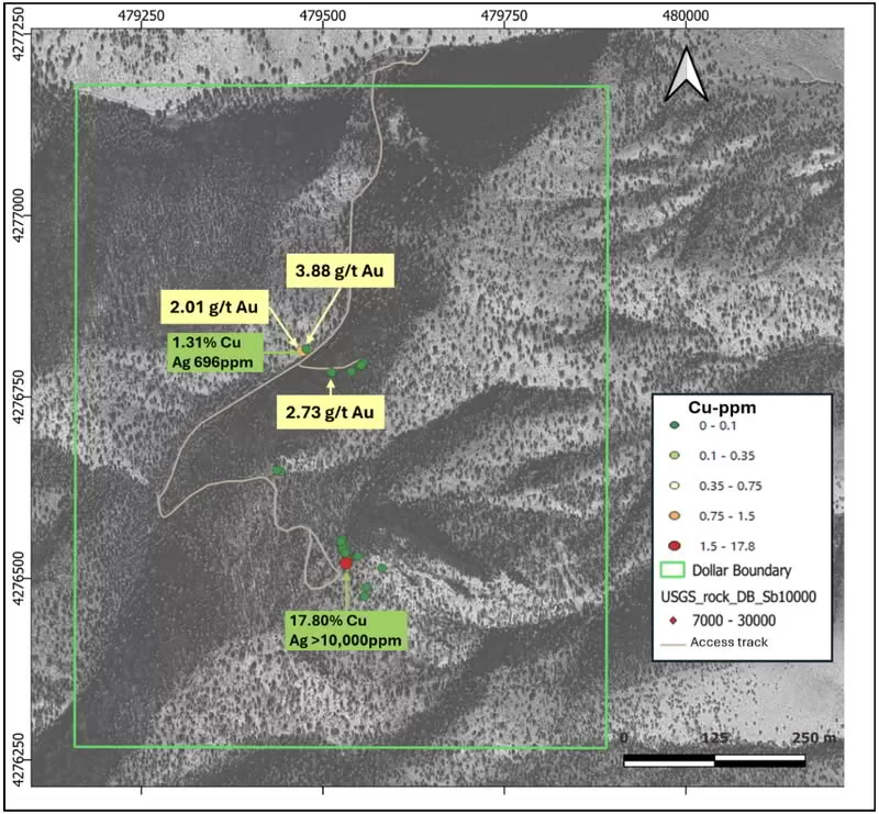 Gold Verification and Antimony Exploration Geological survey map with assays